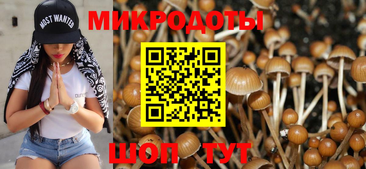 Дальнегорск  Галлюциногенные грибы GOLDEN TEACHER  Вход с VPN 
